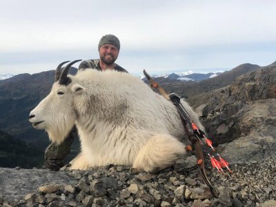 wta_1081_P7SS1L_goat