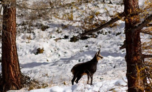 wta_1083_DEQ3IX_Altaqualit-RiccardoCamusso(3)