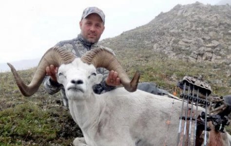 wta_1087_2Z7ITO_082_dallsheep-16