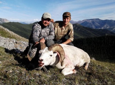 wta_1087_4OAWNQ_sheep7