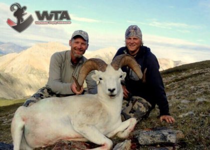 wta_1087_B6YD9O_082_dallsheep-27