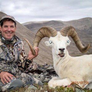 wta_1087_DNTET6_082_dallsheep-2