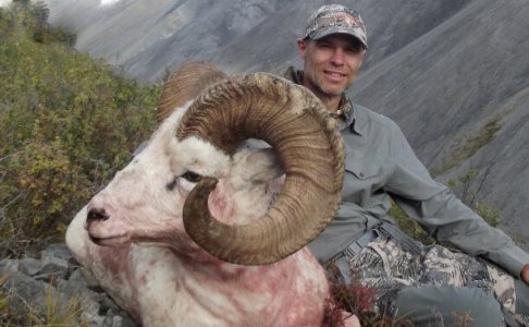 wta_1087_G9RL4A_082_dallsheep-9