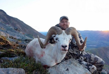 wta_1087_GKCFJM_082_sheep-4