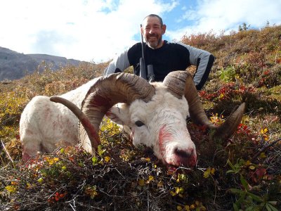 wta_1087_GYXJPO_sheep1