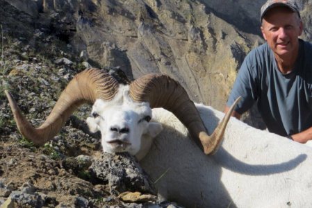 wta_1087_HW2EG6_082_sheep-1