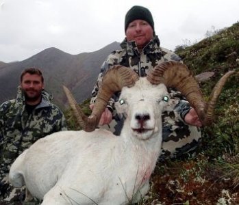 wta_1087_IED98I_082_dallsheep-13