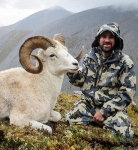 wta_1087_OI08TL_082_dallsheep-6