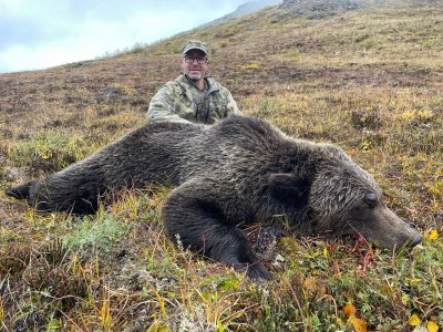 wta_1088_2023 Bear