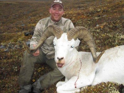 wta_1088_N43Y46_Sheep20121