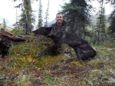 wta_1088_T74YPY_Alaska2013094