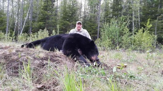 wta_1090__featured_QI5OH1_CodyWoods2016