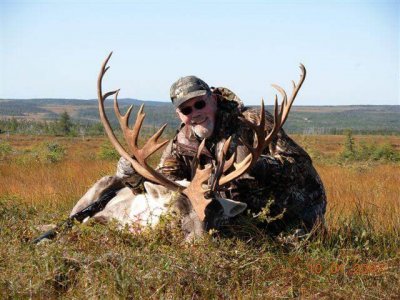 wta_1092_C49XD1_NF_Moose_-_Caribou_2007_040