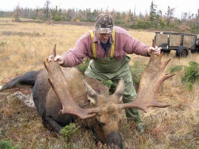 wta_1092_FBXUOJ_MooseHunting2004039