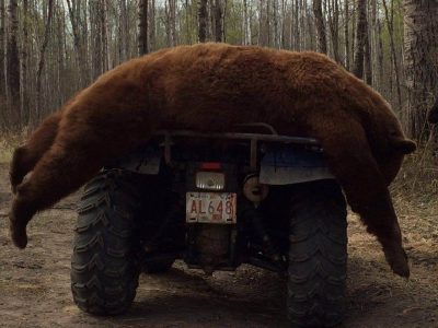 wta_1096_664O5Q_IMG_2232