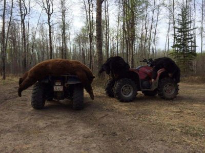 wta_1096_KVUEO7_IMG_2234