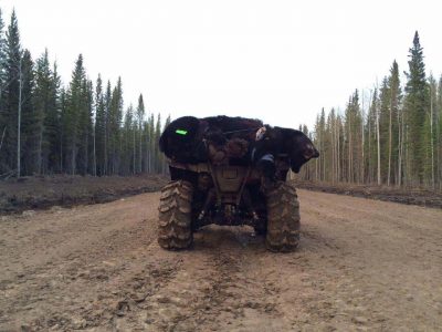 wta_1096_NOOJHU_IMG_2167