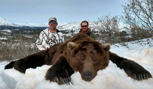 wta_1101_BQD9CU_Bear