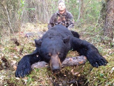 wta_1119_1VCOVZ_Blackbear