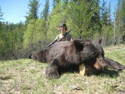 wta_1119__featured_JAGTAW_bear_pics_big_chocalte_and_black_365_op_800x600