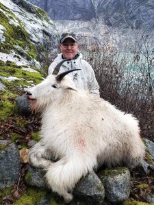 wta_1121_FIHEZM_goat2