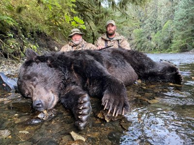 wta_1122_Brown Bear