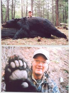 wta_1130_4U1TWR_Bear122-26-13