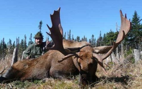 wta_1135_X6Q62W_moose-hunt-2010