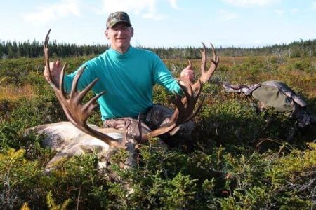 wta_1135_YI7OLC_record_caribou