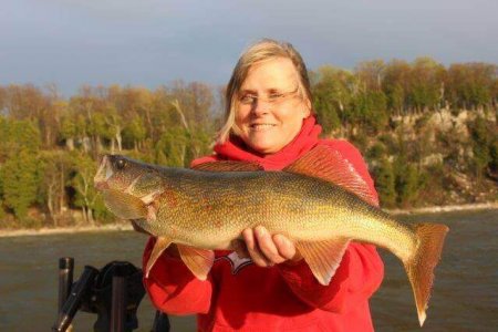 wta_1137_0JW4E3_walleye3