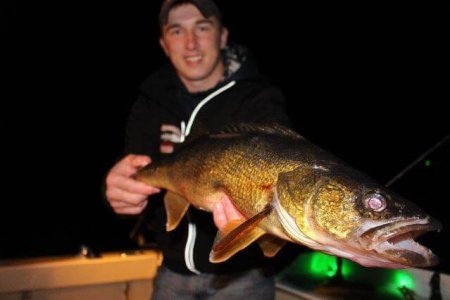 wta_1137_2R1LW6_walleye2
