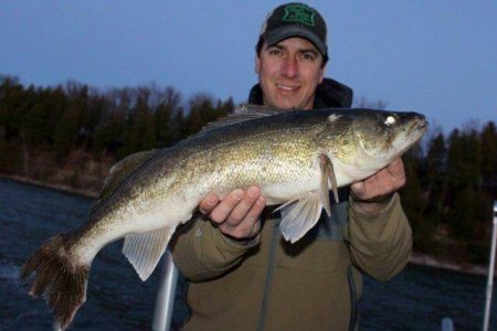 wta_1137_86FSHS_Bellevillewalleye1