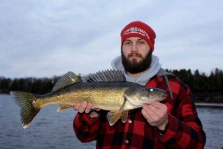 wta_1137_IYXQ6Z_Bellevillewalleye2