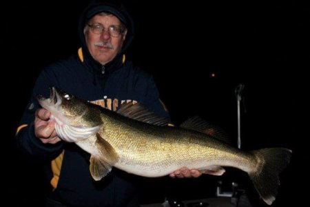 wta_1137_P7MG3B_Bellevillewalleye3