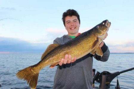 wta_1137_SU3IXH_walleye5