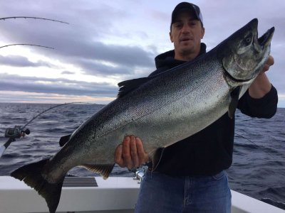 wta_1138_QQKKIC_KinnSalmon4