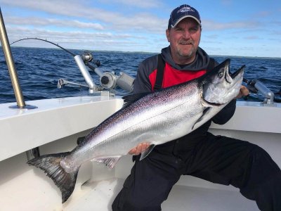 wta_1138__featured_NVBILU_KinnSalmon3
