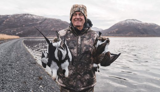 wta_1157_DSC04372 Dad with his Long Tail Ducks, 3 ducks one shot