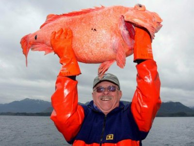 wta_1159_8LRJYE_IMG_9221(2)