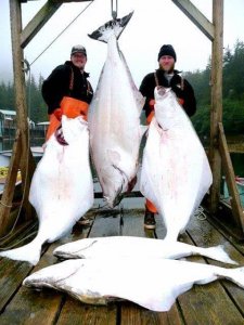 wta_1159_AOGXV7_44280_565078622774_202302670_32629055_5214851_nA