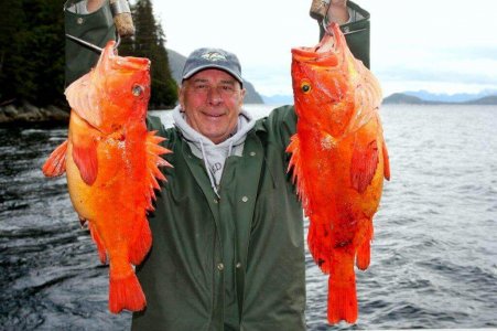 wta_1159_C9U5ZU_IMG_3858a