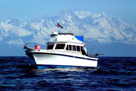 wta_1159_D8ZSZH_IMG_4481aaaa