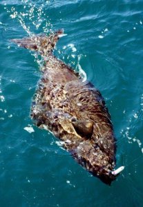 wta_1159_F3X2KV_IMG_3690aa