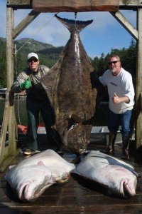 wta_1159_GYYVXV_IMG_0052