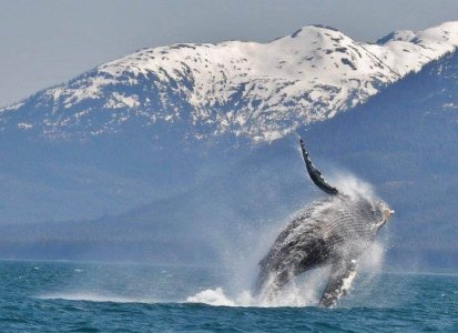 wta_1159_H86N9V_185287_649146124735_93404828_34637493_3910806_n