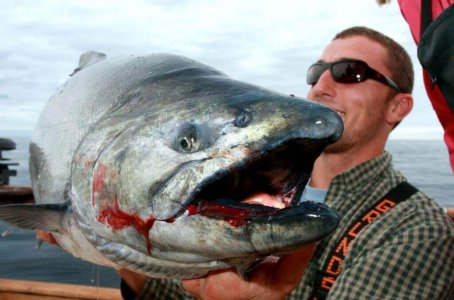 wta_1159_JEYJ20_IMG_4229a