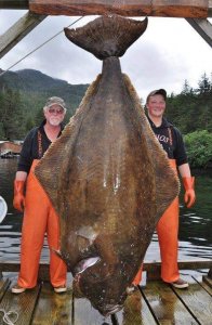 wta_1159_N35AD9_294620_1725883085719_1797661289_1198406_6595704_n