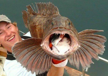 wta_1159_NC5Y6C_41209_1572213267485_1300110449_31559678_686846_nA