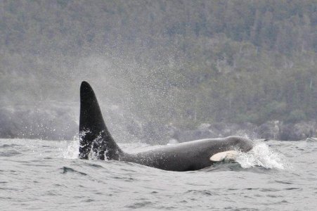 wta_1159_Q98KWM_198734_649146389205_93404828_34637509_3461414_n