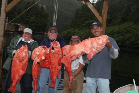 wta_1159_TEACQF_IMG_1657